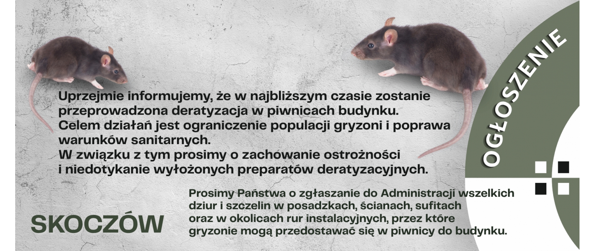 deratyzacja
